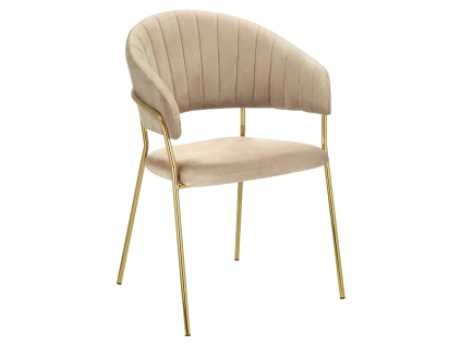 dasmin typ 1 new dod n bezova 01