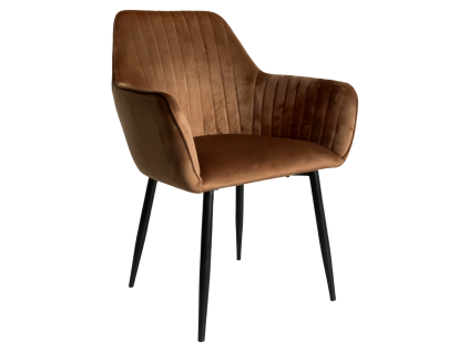 zirkos dod stolicka hneda 02