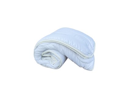 22442 antialergicky paplon 2v1 140x200cm