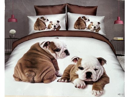 buldog foto obliecky