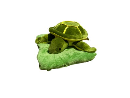 Photoroom 20250610 132059