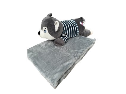 22532 plysovy psik s dekou