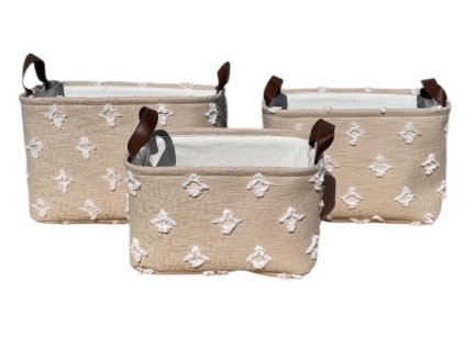 Photoroom 20250303 121306