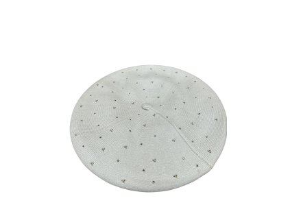 Photoroom 20260108 112326