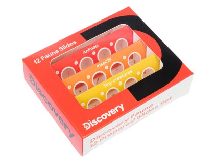 78224 discovery 12 prepared slides set 00