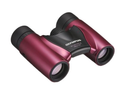 RCII 8x21 magenta TL x290