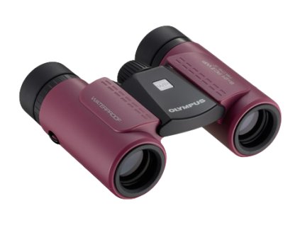 RCII 8x21 WP magenta TL x290