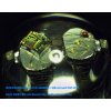 bresser micro advance icd 10 160x dop3