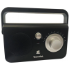 TechniSat CLASSIC 100