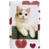 FujiFilm film Instax mini Heart Sketch 10ks 1