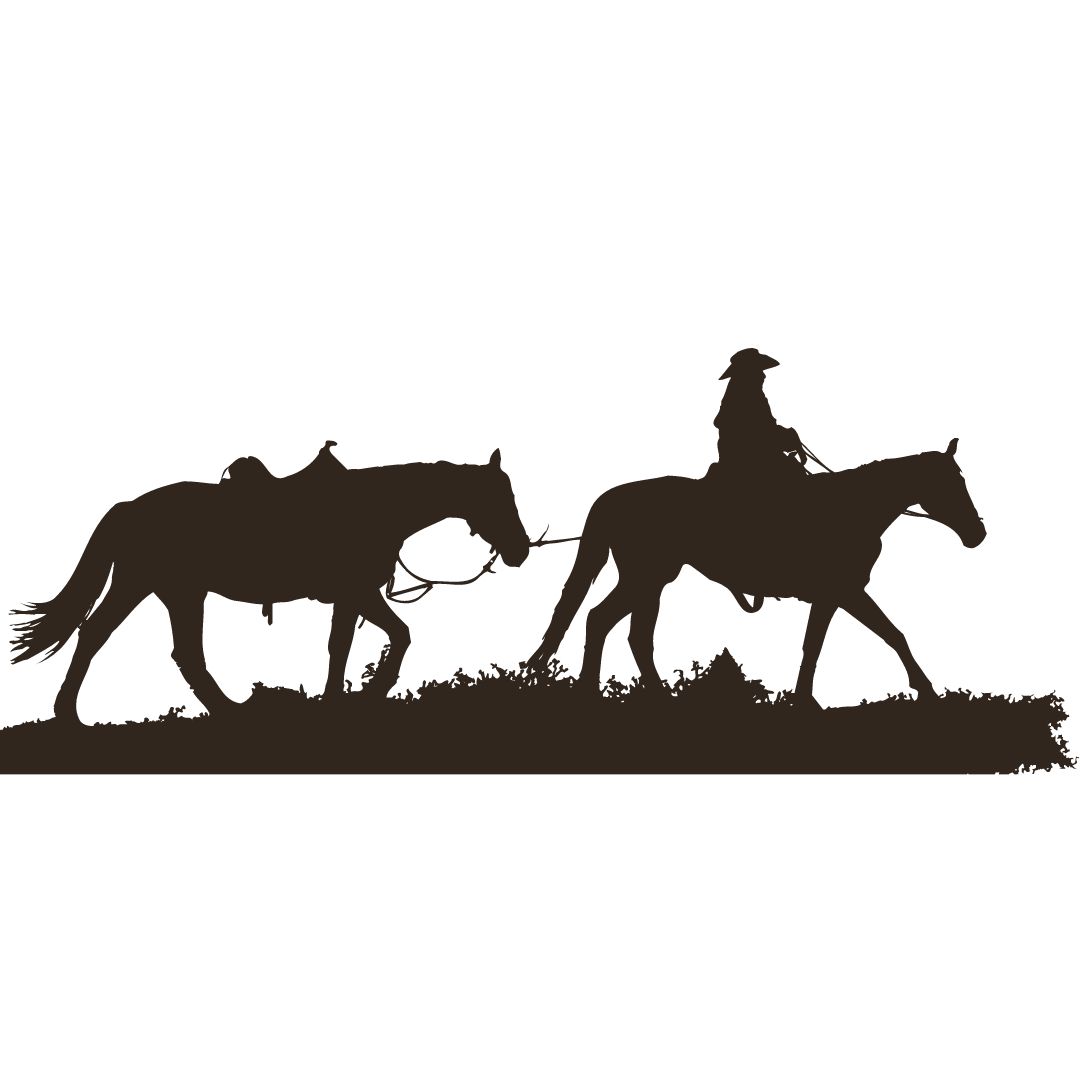 Rekreační jezdectví