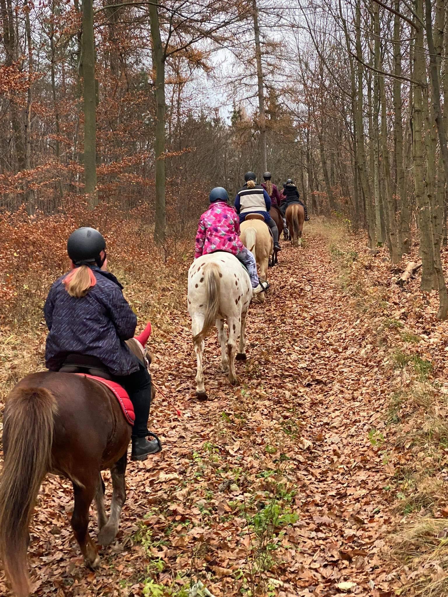 258983311_985380448683917_7563608809307966394_n