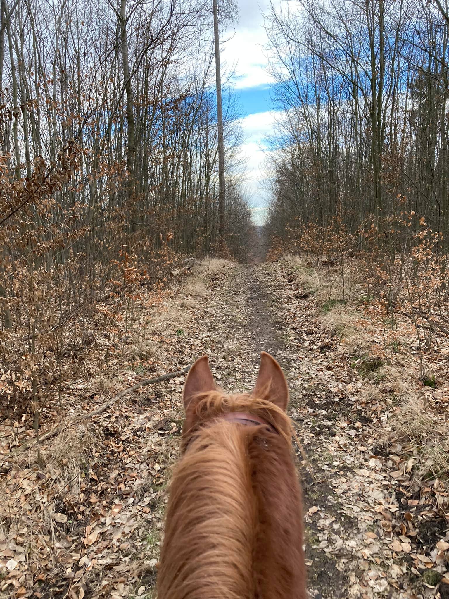 274232476_10224253635666612_2269502672976246496_n