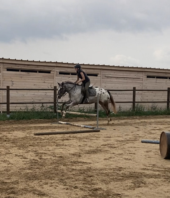 385482961_150210311501905_4873602613463312890_n