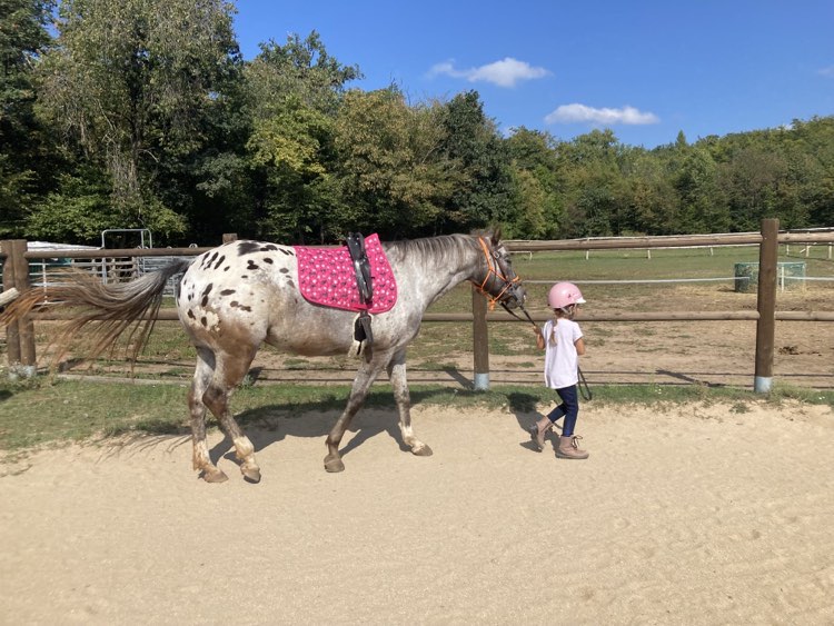 386842584_853774239405644_5035387628486851710_n