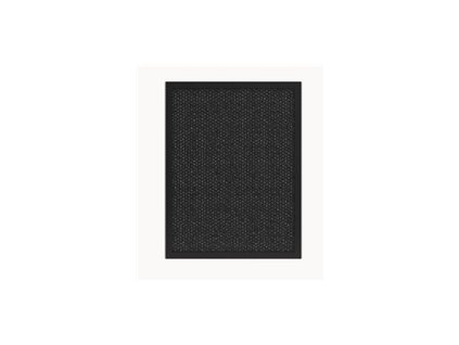 Tesla Smart Air Purifier Pro L Carbon Filter