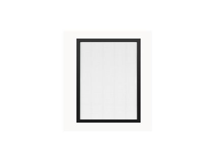 Tesla Smart Air Purifier Pro M Hepa 13 Filter