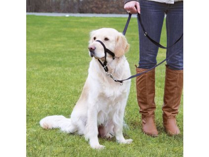 Postroj Trixie TOP TRAINER výcvikový L 31cm