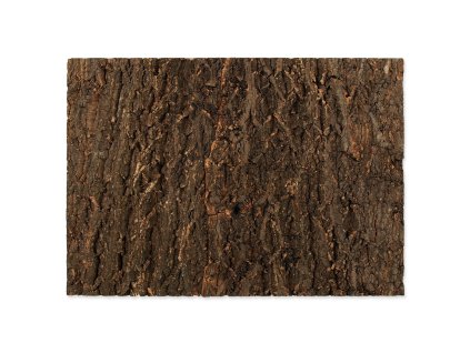 Pozadí Repti Planet korek přírodní 58,5x41x2cm