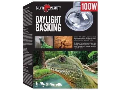 Žárovka Repti Planet Daylight Basking Spot 100W