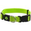Obojek Active Dog Premium L limetka 2,5x45-68cm