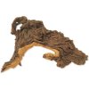 Dekorace Hobby Dohse kořen Tropical wood L