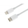 Datový a nabíjecí kabel USB-C - Lightning, 100cm, bílá