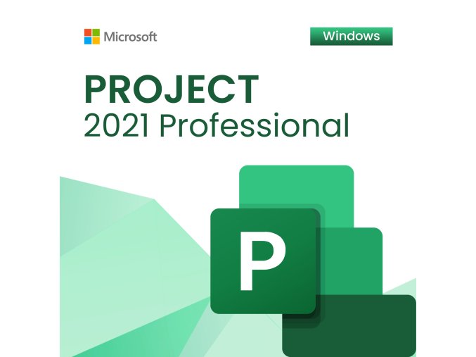 Project 2021 Professional