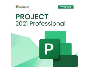 Project 2021 Professional