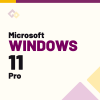 Microsoft Windows 11 Pro