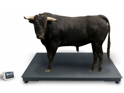 Podlahová váha do 5 ton 120x200 cm