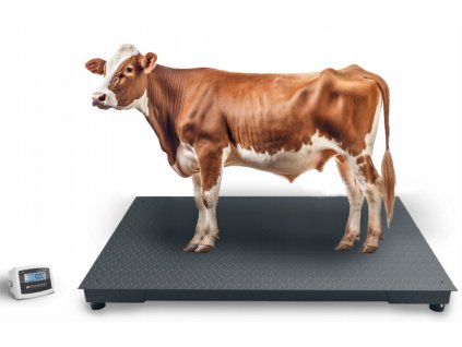Podlahová váha do 5 ton 100x200 cm