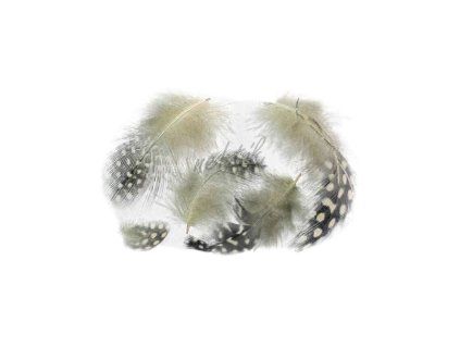 zdobeni na nehty pericka cernobila m