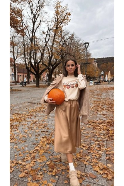 684FEFE1 6E82 4536 BDEC EF52231B75A1