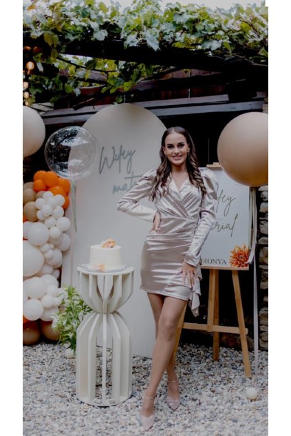 7F512FDC 3317 4F67 83DA E75E4B553664