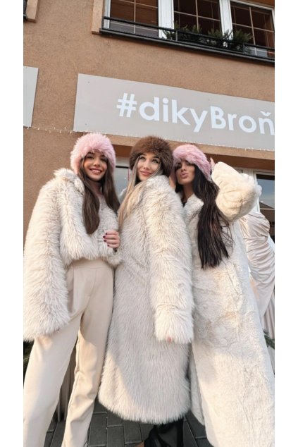 C88FF10D 597D 435D 9EA0 5F483FF7CBA4