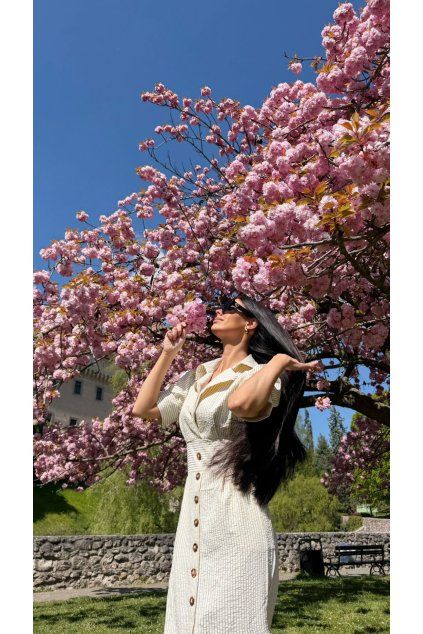 9C0D9C91 4EC0 4CF0 9DCD FF1098CB7839