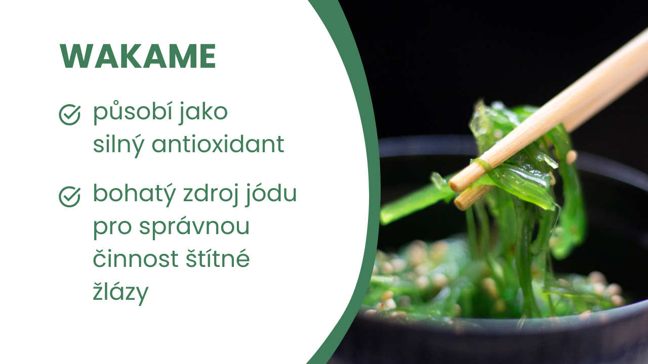 baner-wakame