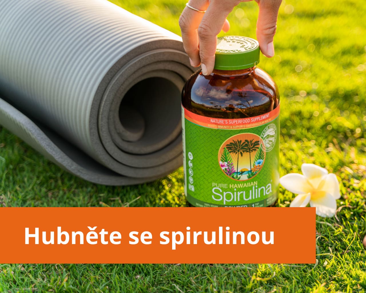hubnuti-spirulinou