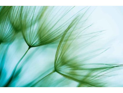 Aromatická vůně COASTAL WINDS do osvěžovače vzduchu HyScent