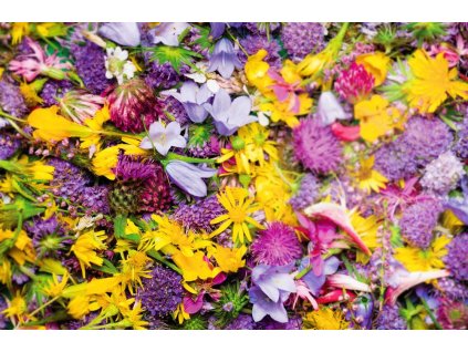 Aromatická vůně CRUSHED PETALS do osvěžovače vzduchu HyScent