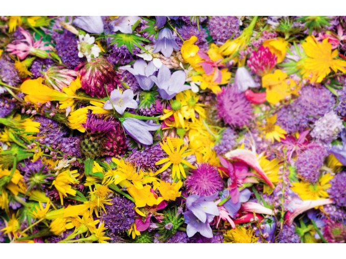 Aromatická vůně CRUSHED PETALS do osvěžovače vzduchu HyScent