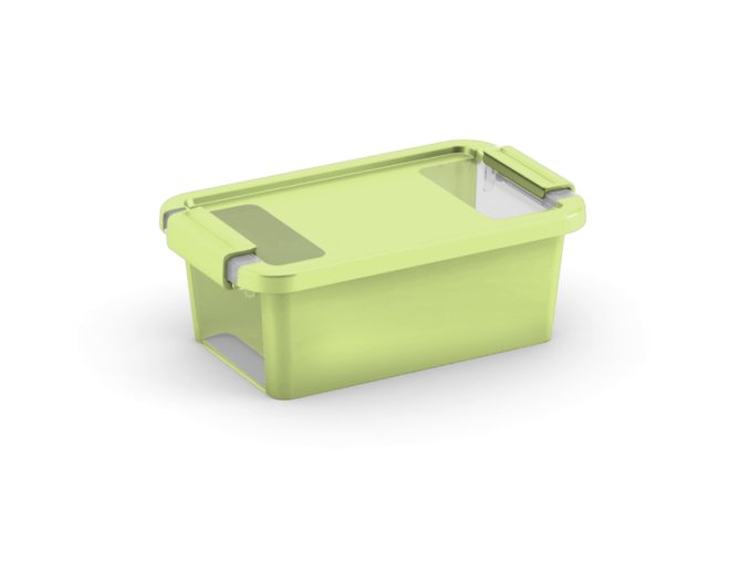 Plastový úložný box BI, objem 3l, 26,5 x 16 x 10 (výška) cm, zelený