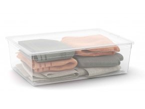 Plastový úložný box C Box, vel. L s víkem, transparentní, 27 l