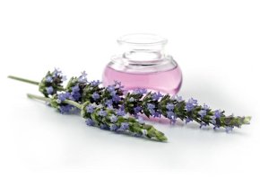 Aromatická vůně LAVENDER FIELDS do osvěžovače vzduchu HyScent