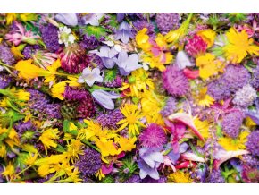 Aromatická vůně CRUSHED PETALS do osvěžovače vzduchu HyScent