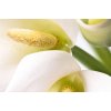 Aromatická vůně SUMMER LILIES do osvěžovače vzduchu HyScent