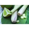 Aromatická vůně THAI LEMONGRASS do osvěžovače vzduchu HyScent
