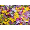 Aromatická vůně CRUSHED PETALS do osvěžovače vzduchu HyScent