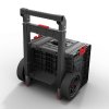 PRO Cart 2.0 Plus BACK 600x600